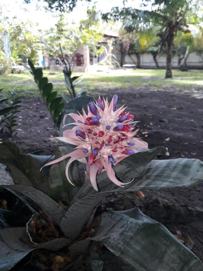 Refugio Das Bouganvillea Igarassu Luaran gambar