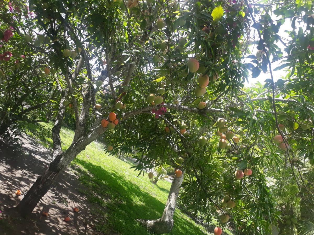 Refugio Das Bouganvillea Igarassu Luaran gambar